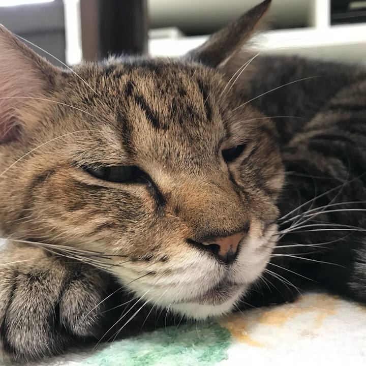 Ea080c60 dcc5 4798 8347 4dcb9ac270e5 1596182907456