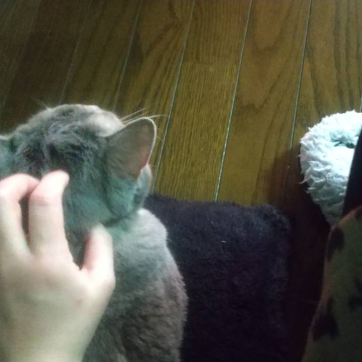 Ea0810fe e18f 493b acab 977d64888fdd 1638935964472