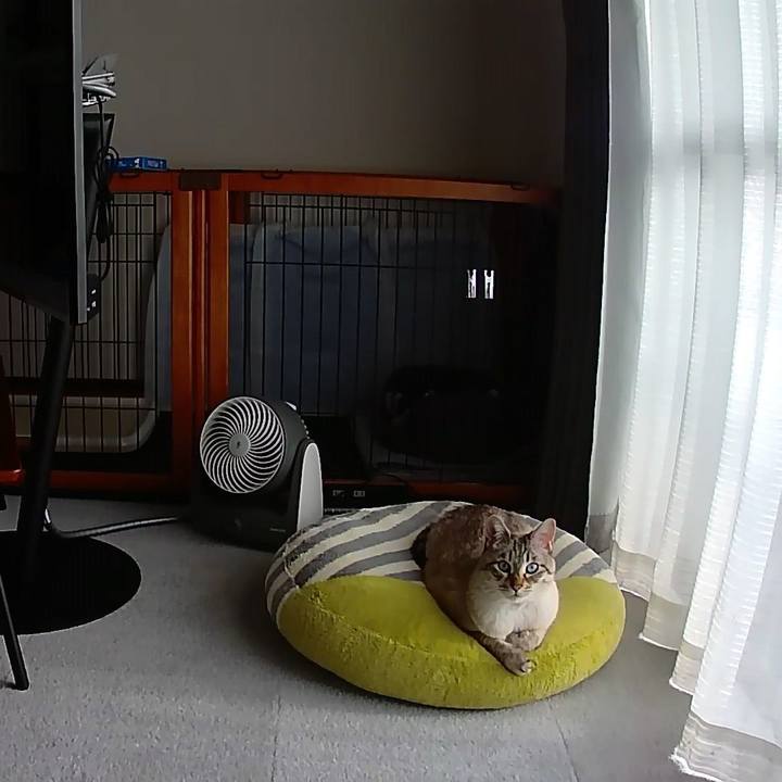 Ea081627 b1d0 4b49 ba0f 19911f196ec4 1619509193642