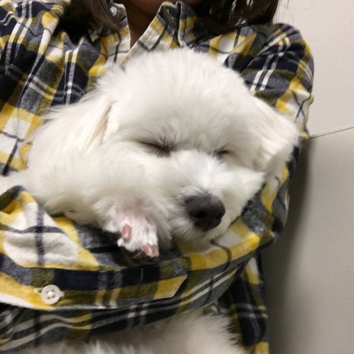 Ea081e69 4315 4646 a613 2d5800b7246d 1513679599292