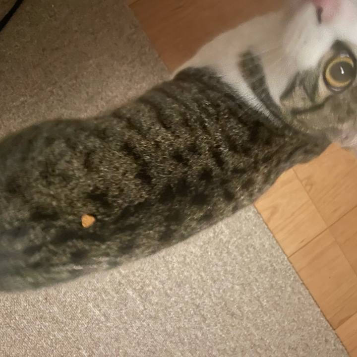 Ea08311a 47c0 4a1c 9055 be4e1d008187 1737714720794