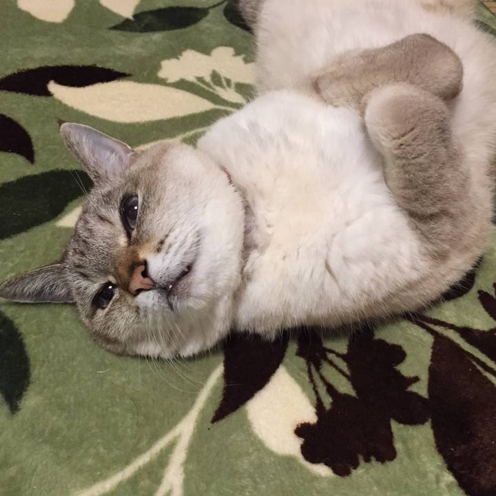 Ea08884d 5518 4721 bc1c 45ca5da2a546 1581803694081