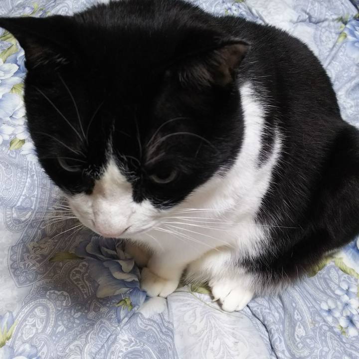 Ea089b20 8841 478d 9da8 e563306685d5 1554241612012