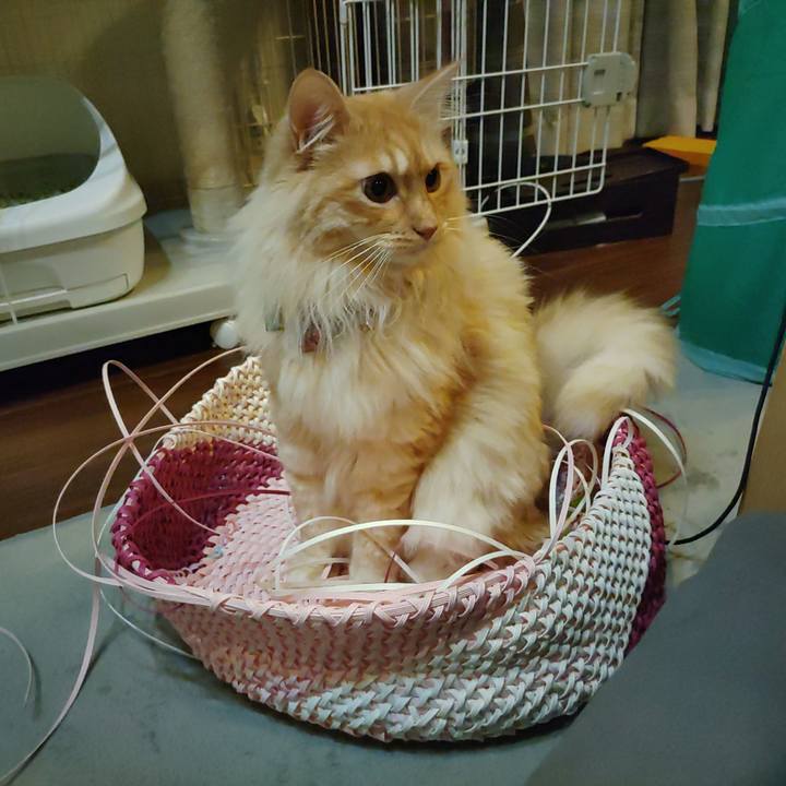 Ea089bca 687e 47b3 b3b6 99e424ee11db 1654438211000