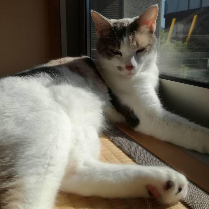 Ea08aee1 7e0c 45a4 b478 4899b0ed7c3f 1531560143524