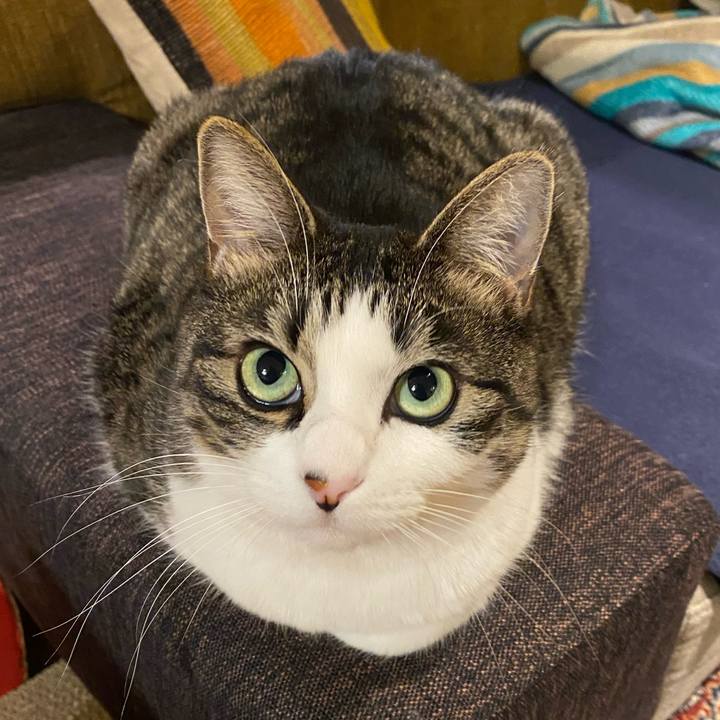 Ea08bbb3 96da 4924 b5f8 01115f5868bd 1605517256255