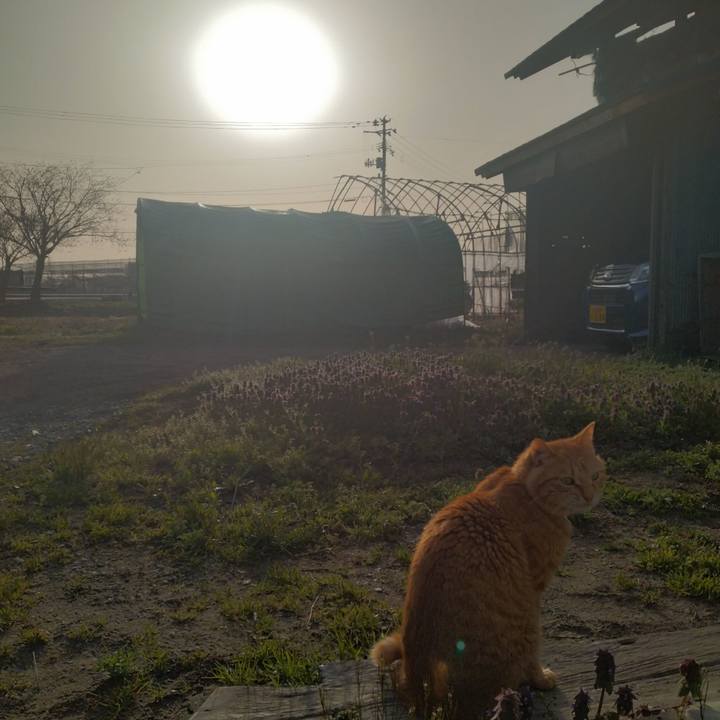 Ea09146f c73b 45b7 8c90 20cfb07fb7e5 1681339922959