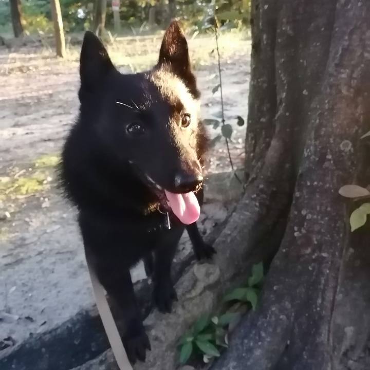 Ea093164 67cc 43b1 9ad8 b5d3b253419f 1632258216498