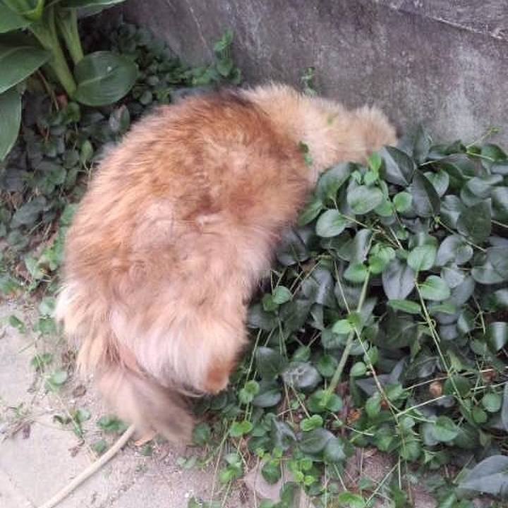 Ea0968b2 9813 46ab ae0f 26feda5b6c18 1581788097471