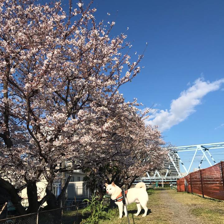 Ea09bfe5 5e00 4f59 b5c5 ddaadd868357 1554072857795