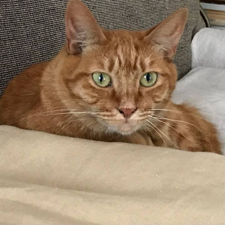 Ea09d26c 7823 498f a8df 4f4af2ca7b05 1571628836406