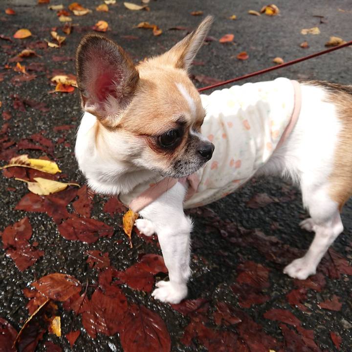 Ea09d57c fd51 4257 bcae 5ced3c92d169 1538274306917