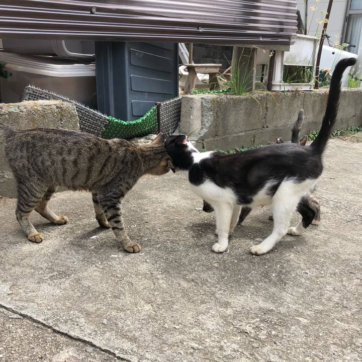 Ea09d736 11dc 4b00 ab79 fd25ba8c108f 1570336248370