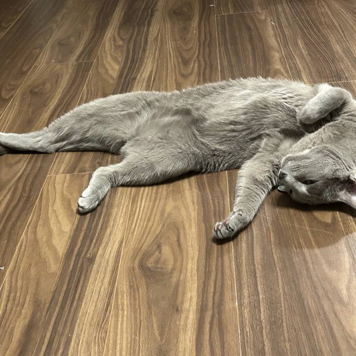 Ea09fbbd 22b6 49c9 a524 bb1a4576d46b 1737616157820