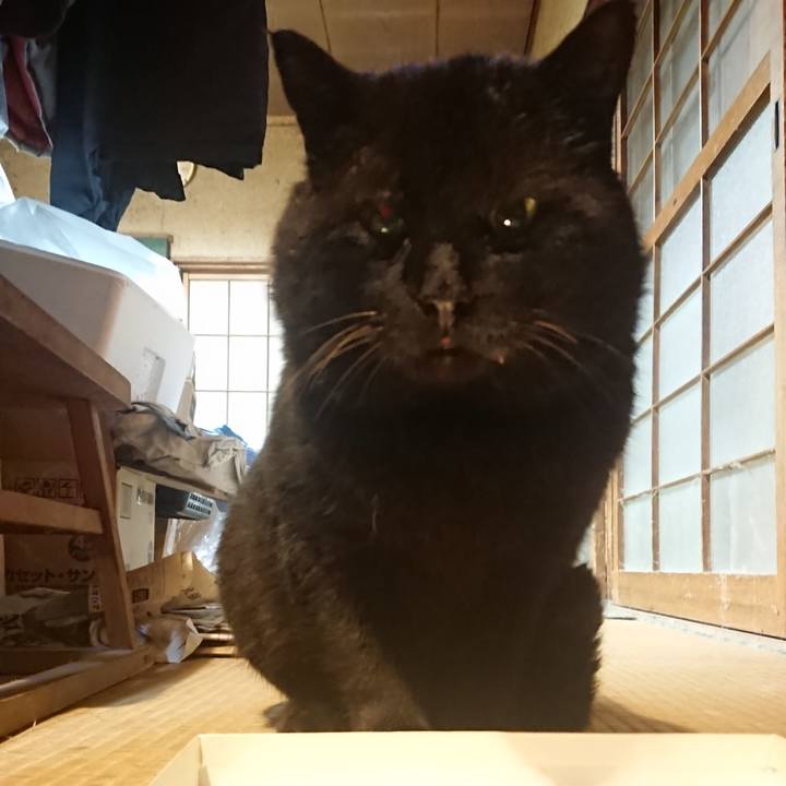 Ea0a475f 8e48 4ac0 bd5b af3dc8274554 1615641681034