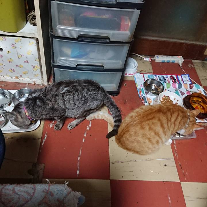 Ea0a504f 7f58 4ab5 85fd 6c588d762d0f 1593806094131