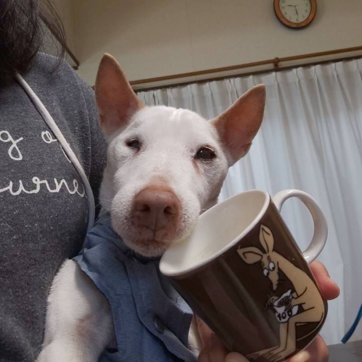 Ea0a7957 2ab7 4797 9967 307be47af665 1551141854031