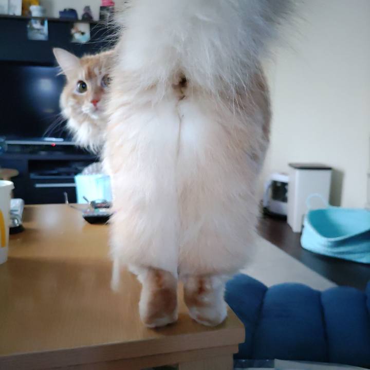 Ea0a90b3 4ddb 4d39 b998 b70e0270d51f 1657352365223