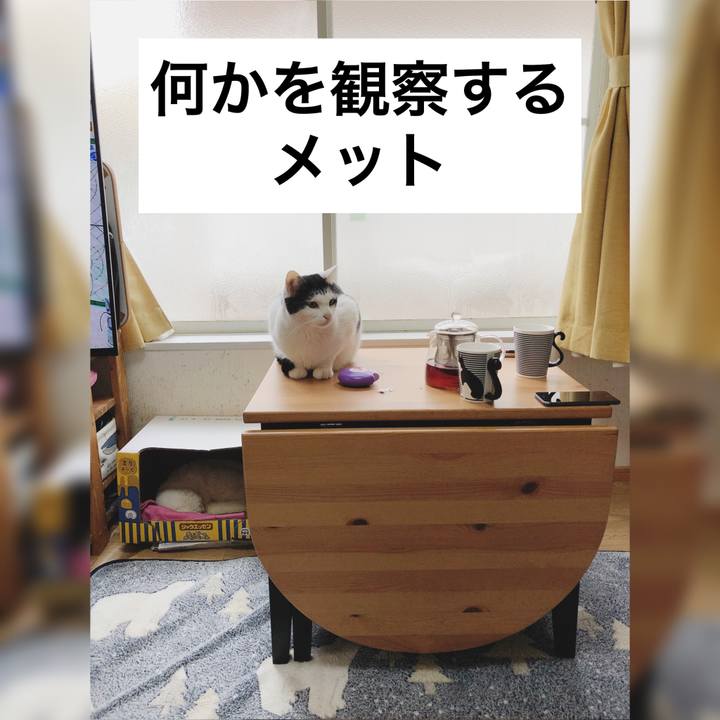 Ea0a9927 dd53 41b7 a832 e10bf6b2d968 1590012620007