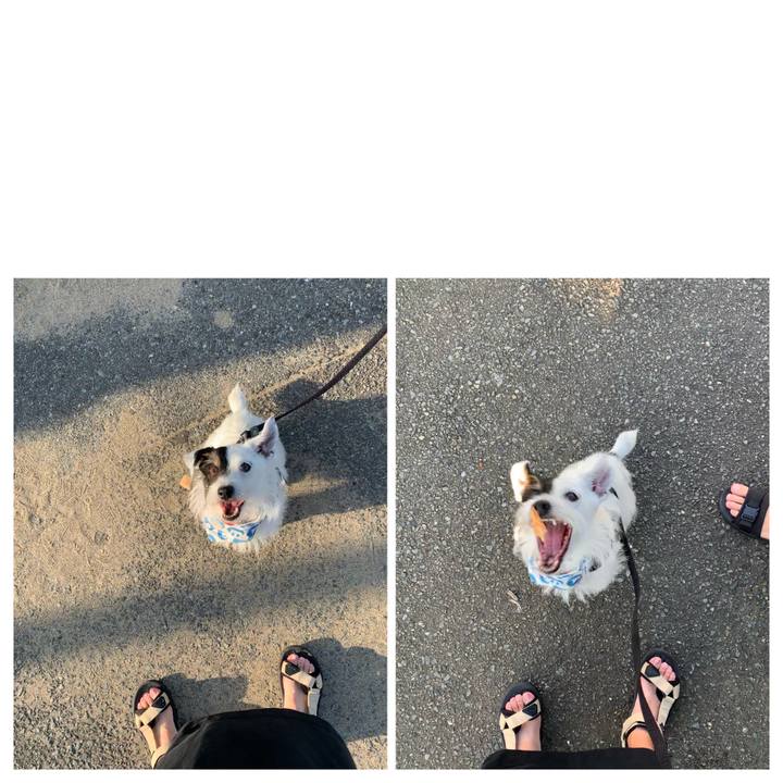 Ea0aac99 1e39 4a2b a6d1 0dc62a7e5c2d 1658062502188