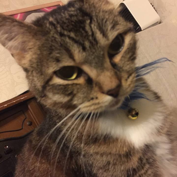 Ea0ab12f e949 4bc4 84f2 f20316a4abdf 1571364041007