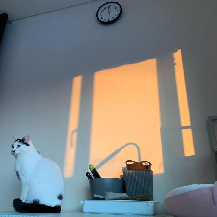 Ea0ac31b 97e4 4d34 84ed 483870e42d82 1710537637115