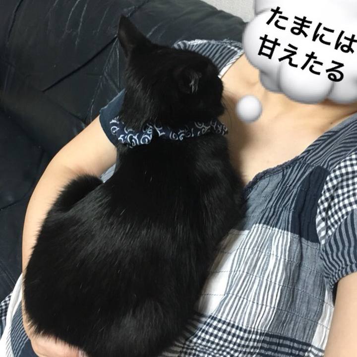 Ea0ad0fa b197 4fd6 b49e c8c30d202bd4 1536579491909