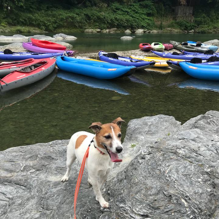 Ea0b43cd 50b7 48bd bbb5 83871af69236 1527423560789