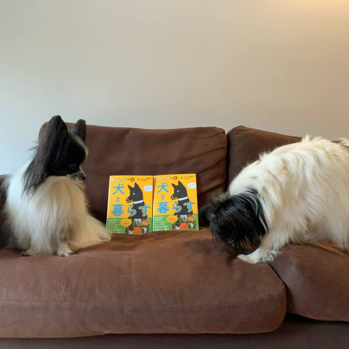 Ea0b4fb8 9657 48d1 b62e f61c13bd46e0 1556328497459