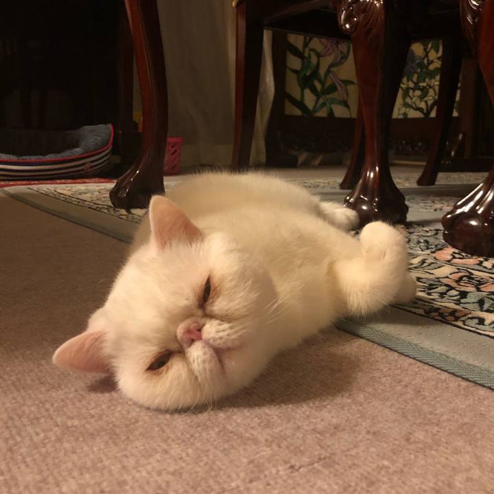 Ea0b5139 e961 4a28 aae5 bf66b6ba6f00 1620995048995