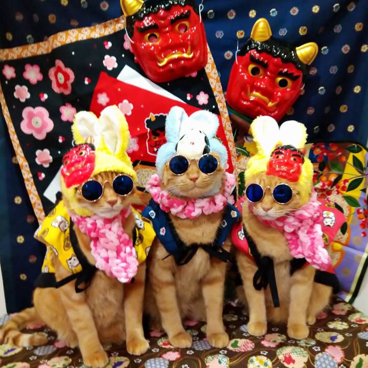 Ea0b5a86 0861 4308 a1d7 e65b9a9b9146 1580637169693