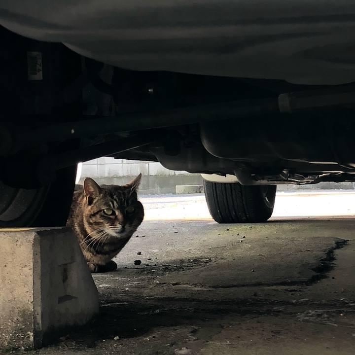 Ea0b973a 5210 4079 b382 c33efcdf91eb 1589720507295