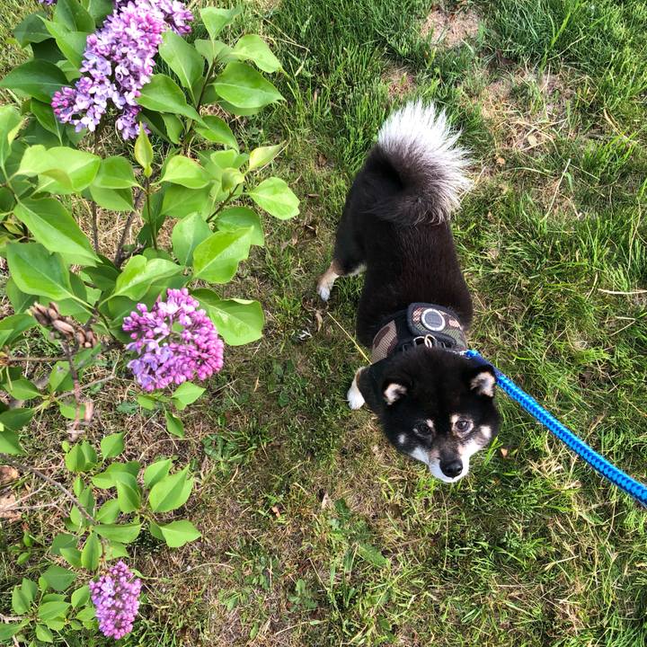 Ea0ba3b2 1c41 424d a322 08e3e56348b5 1558759655204