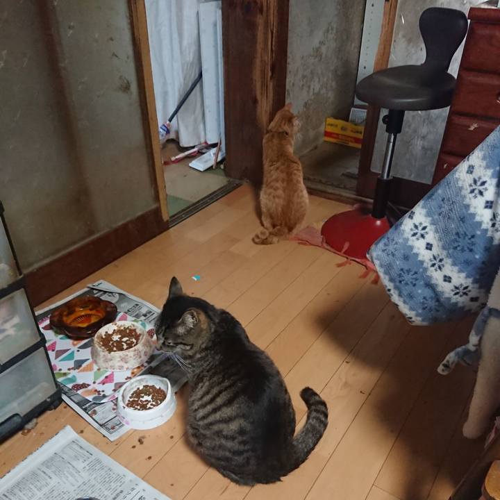 Ea0bce85 3eeb 4a52 b253 f4d428d5159e 1651916143249