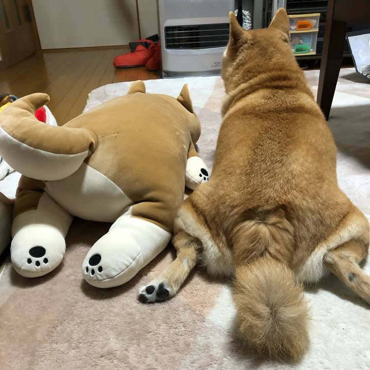 Ea0bf6e0 a779 4135 b785 fd58e2f7c43d 1581854153081