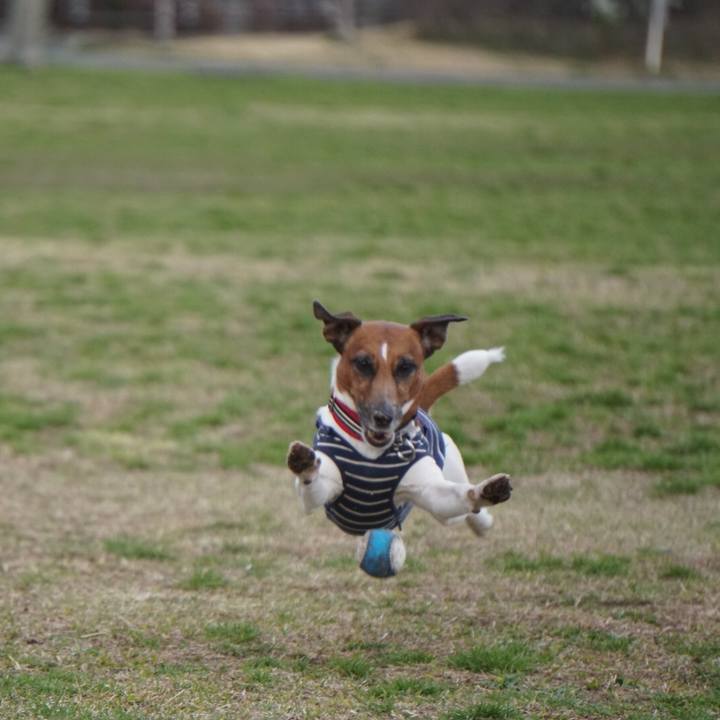 Ea0c0e36 6d5b 485d 9f84 5f8b908fc8f3 1553554166192