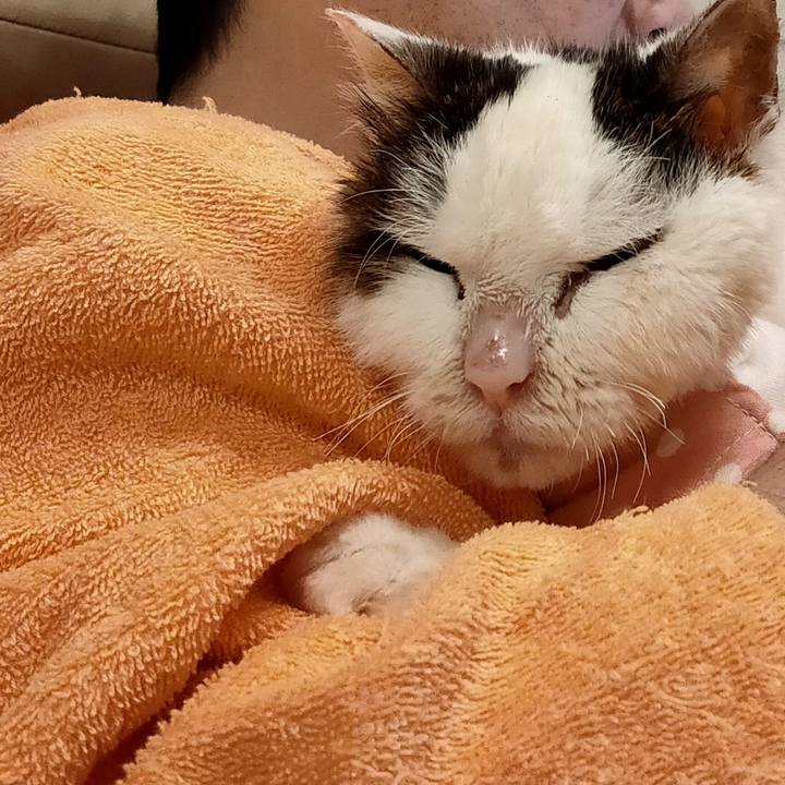 Ea0c231f 0259 4009 a017 0607eaacafd3 1611938137366