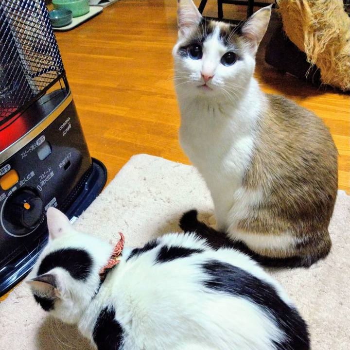 Ea0c36eb 900a 4535 9dfe 771e68fd1a5c 1517840100798