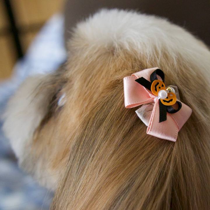 Ea0c41e5 5b21 4530 b820 1aabef307585 1507866827803