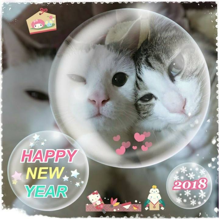 Ea0c4c74 c0eb 4426 be3e 0bb40e4e3d8e 1515338918084