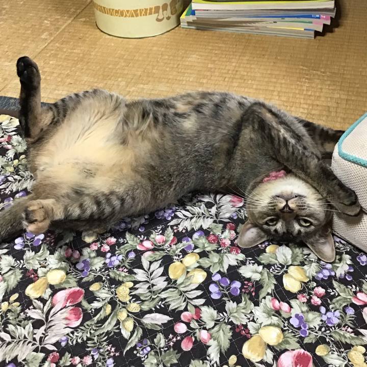 Ea0c7a26 b5d9 4589 9c59 55660e6c812a 1594593164881