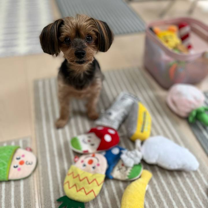 Ea0c8bc8 3835 43d9 881d 69f8bc939392 1651186258181