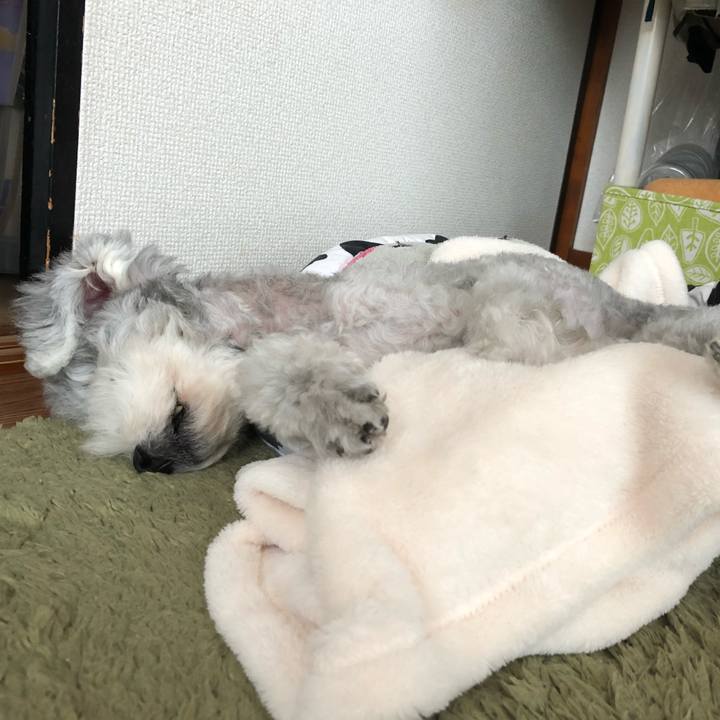 Ea0cde06 6f76 48a5 9cc5 ad2e0cc53c1e 1535325256623