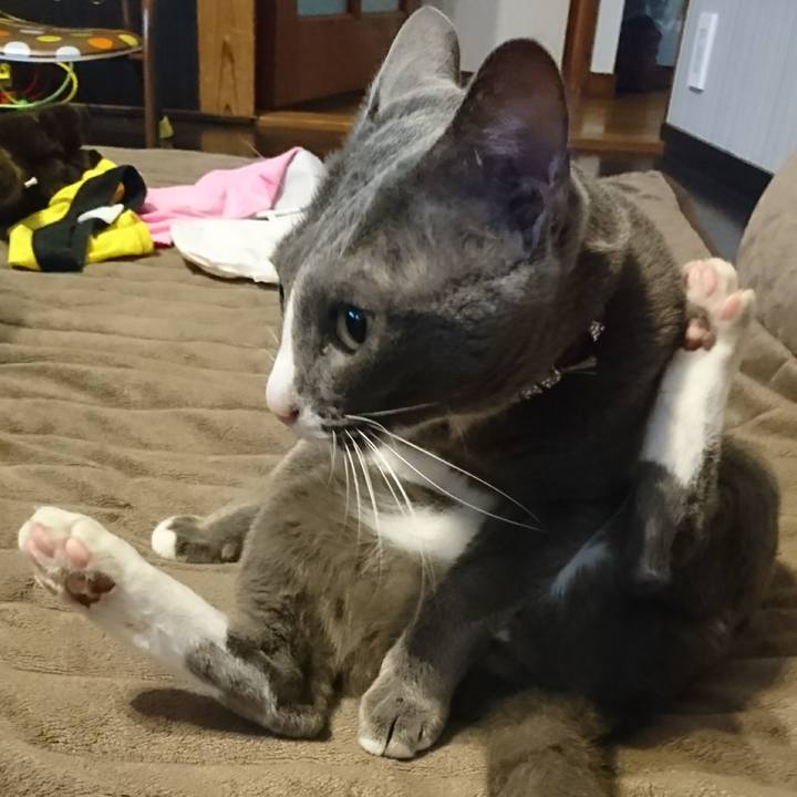 Ea0ce3f2 6133 4044 a629 32806ae28ea5 1508227722401