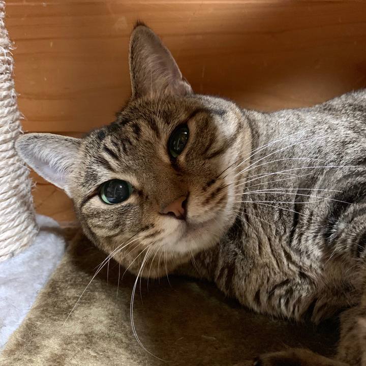 Ea0d0a57 907f 4068 bb8e b378ff4f0dfb 1567863532193