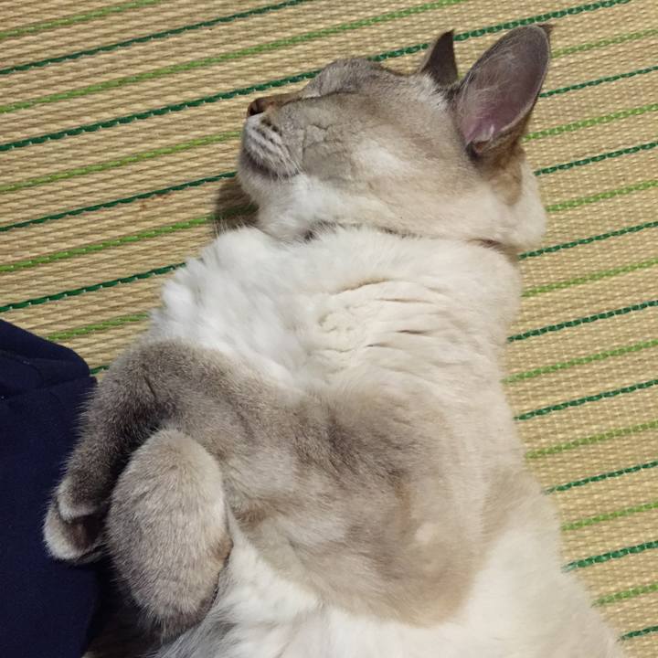 Ea0d4259 a78c 4f4c 8e49 d8eff202f22d 1537527030918