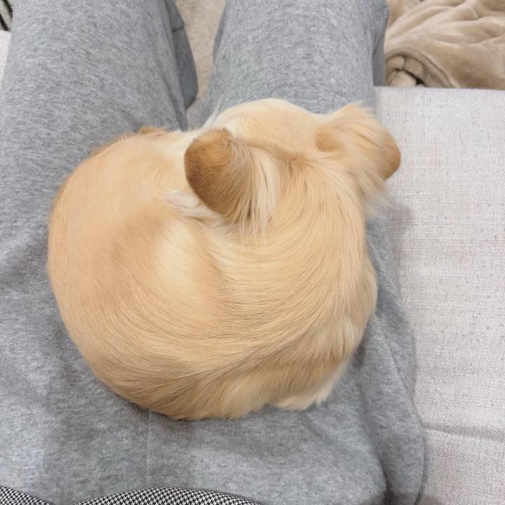 Ea0d6cf1 81e9 4175 a656 19f41d1fd18e 1708432262861