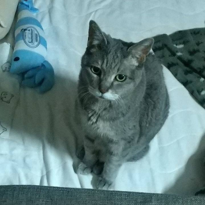 Ea0d7258 415a 436c 89dc a36d3d6fe920 1685219881631