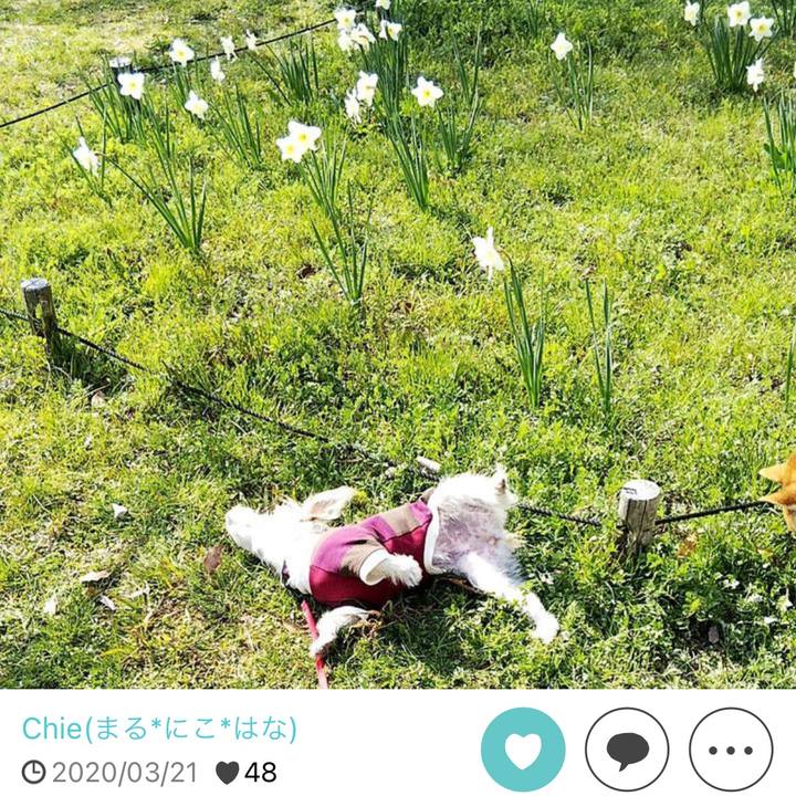 Ea0db24b 3de0 44f9 81bb f333146341aa 1648171260492