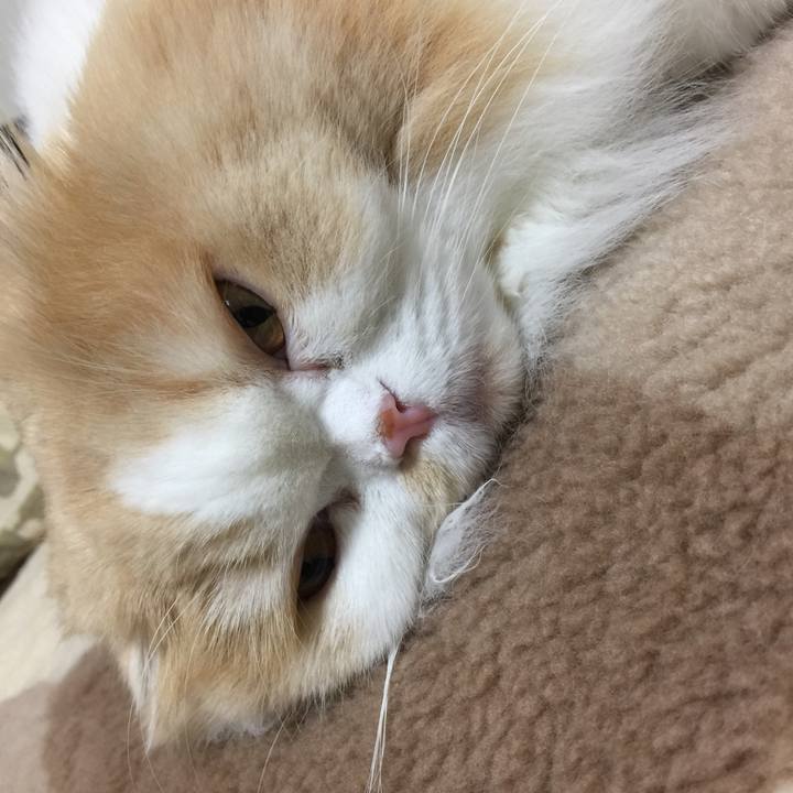 Ea0db477 7f8d 4d46 a8cb 51b5f00916d6 1575582357025